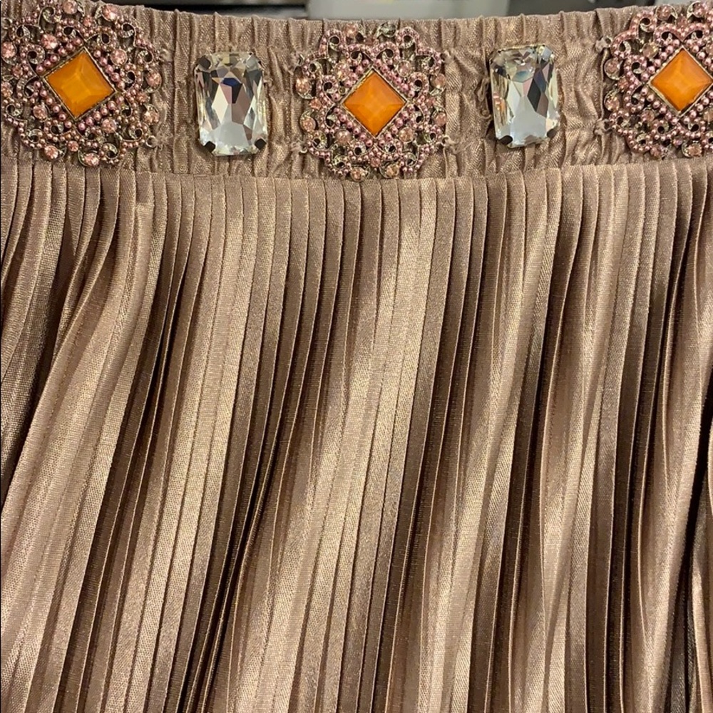 NWT Blush Anthropologie Maxi Skirt
